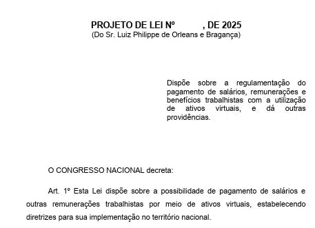 A snapshot of a part of the bill submitted to the Brazilian Congress by Luiz Philippe