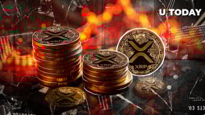 90% Drop: XRP Users Disappearing?