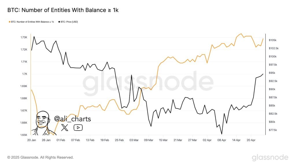 Bitcoin’s Rise Driven by Institutions, Not Retail, Says Bitwise CEO 3 Bitcoin 16