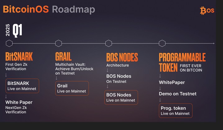 Programmable tokens