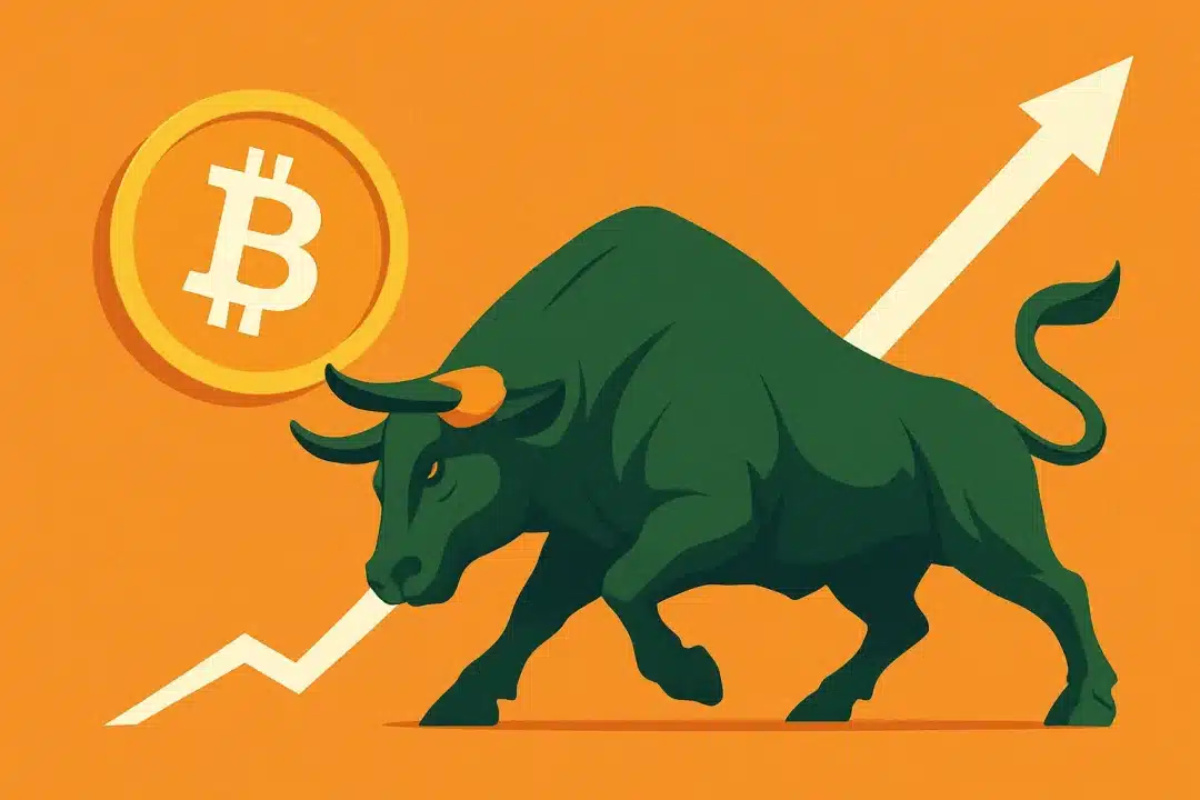 Bitcoin (BTC) Price Rally